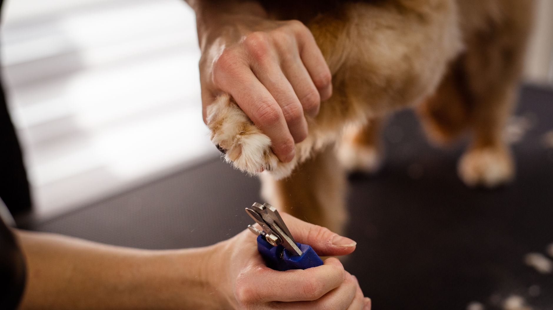 Nails & Teeth Express
